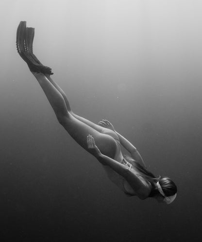 Into the Dark by Paula Ortega