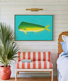 Mahi-mahi by Hannah Ervick