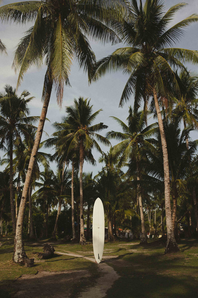 Behind the Board by Paula Ortega