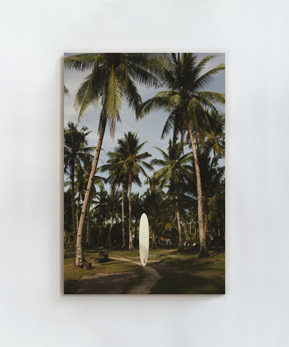 Behind the Board by Paula Ortega