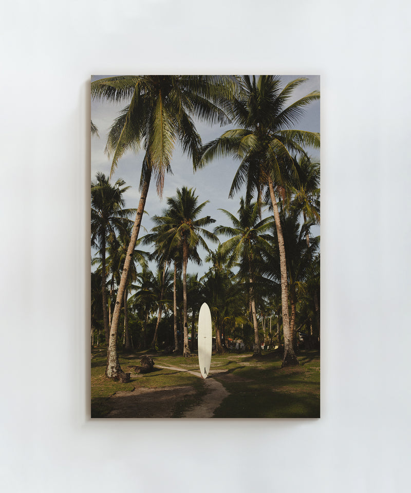 Behind the Board by Paula Ortega