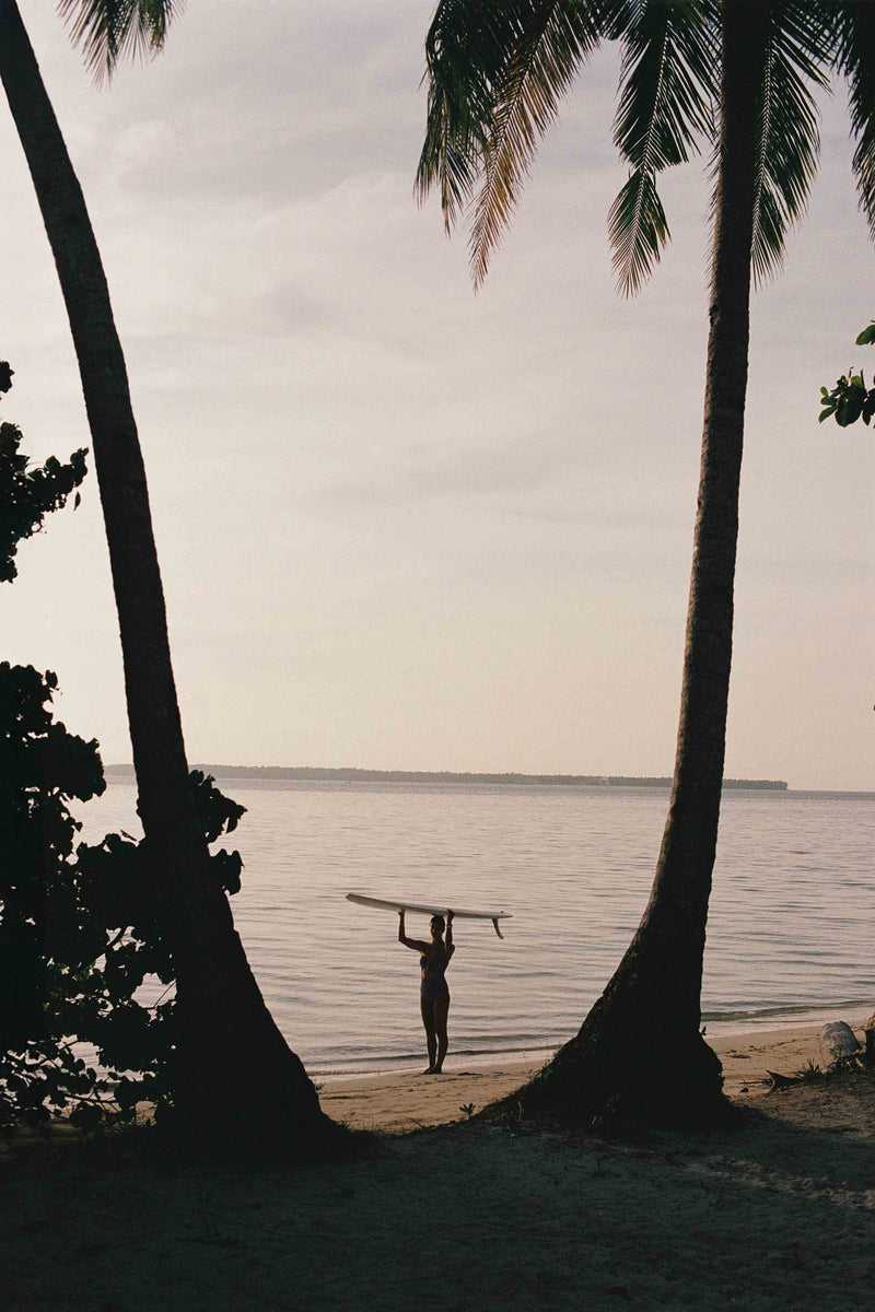 Between Two Palms by Paula Ortega