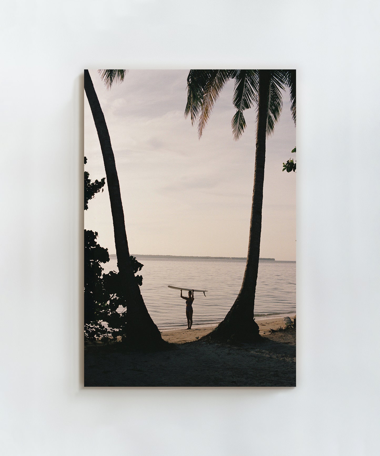 Between Two Palms by Paula Ortega