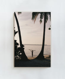 Between Two Palms by Paula Ortega