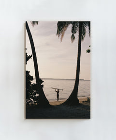 Between Two Palms by Paula Ortega