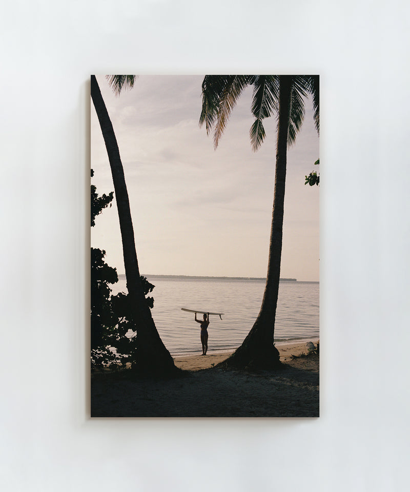 Between Two Palms by Paula Ortega