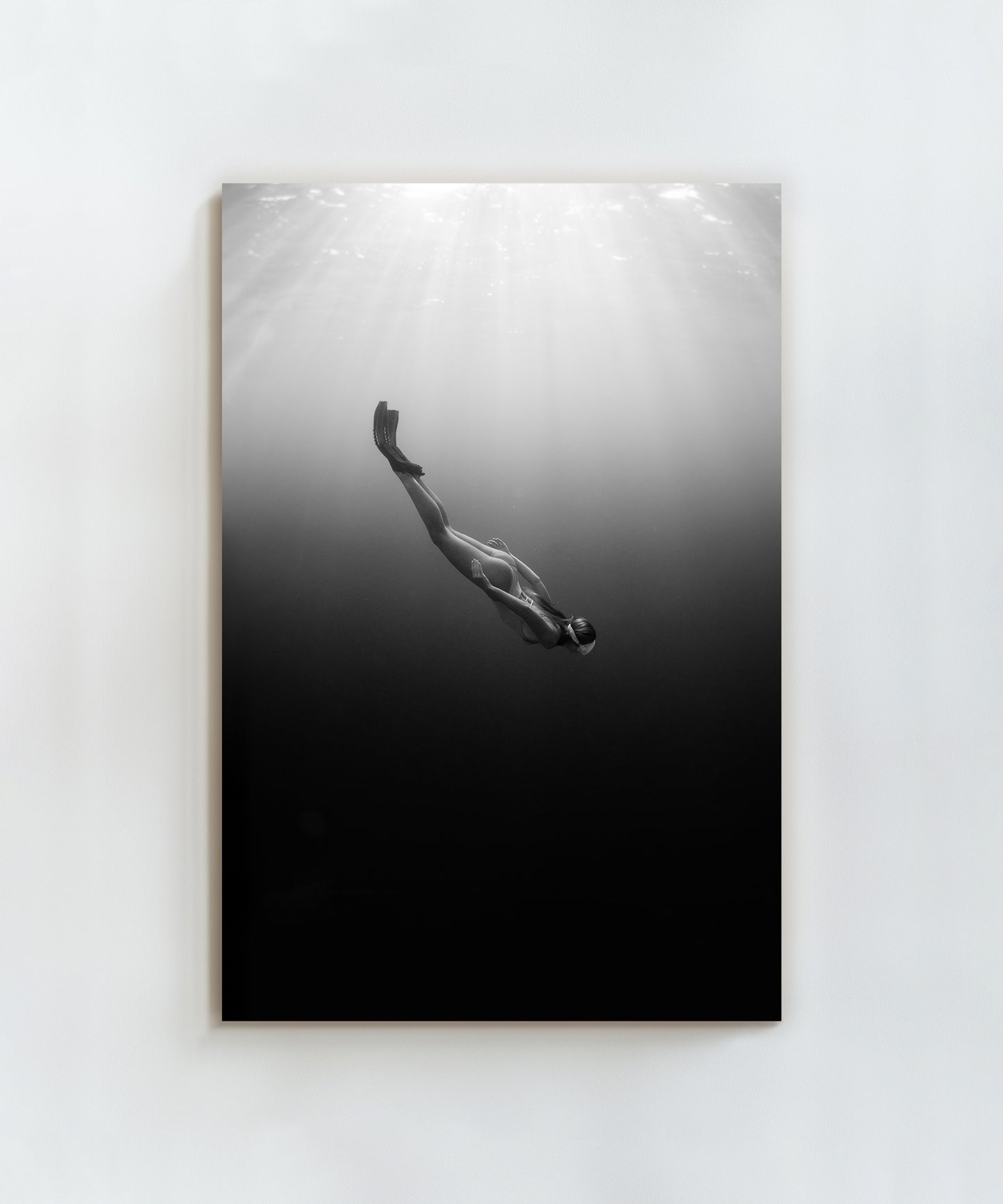 Into the Dark by Paula Ortega