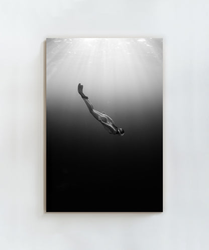 Into the Dark by Paula Ortega