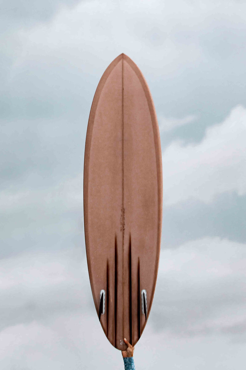 Surf's Up by Paula Ortega
