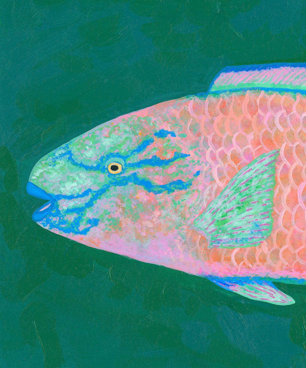 Parrotfish #2 by Hannah Ervick