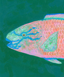 Parrotfish #2 by Hannah Ervick