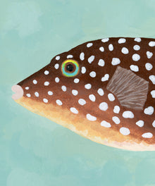 Pufferfish by Hannah Ervick