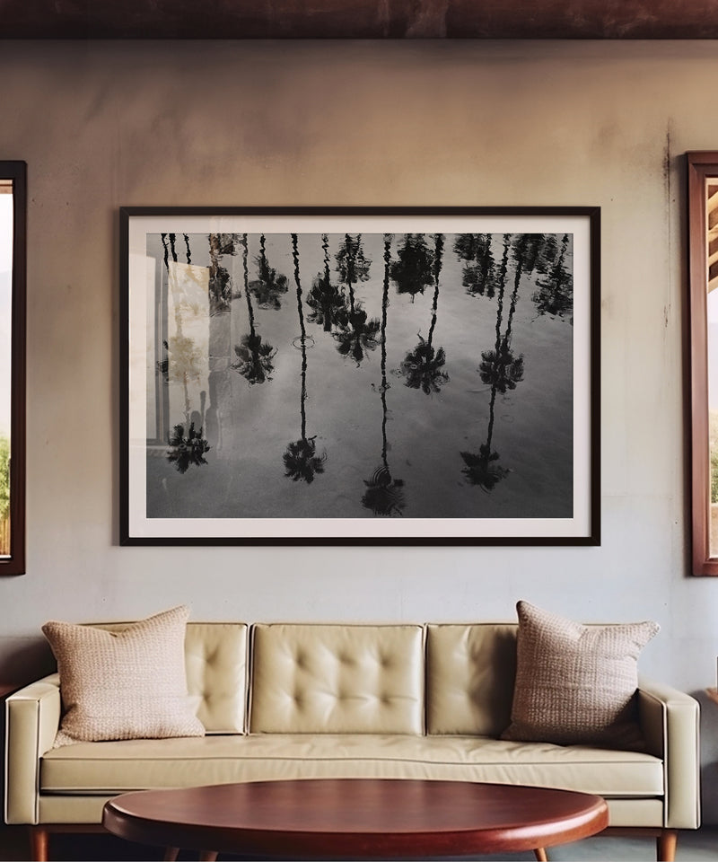 Rainy Palms by Alex Noble