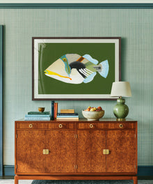 Reef Triggerfish by Hannah Ervick