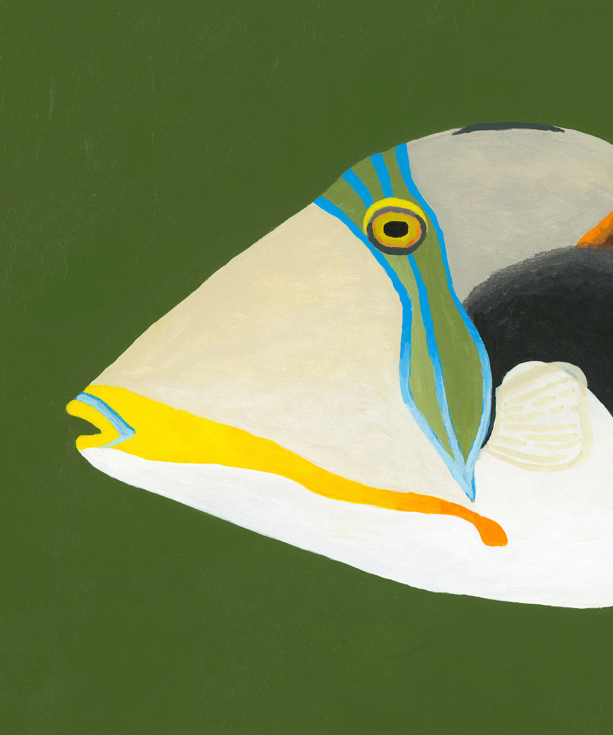 Reef Triggerfish by Hannah Ervick