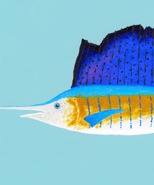 Sailfish by Hannah Ervick