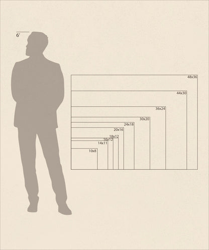 Branching Out by Benjamin Ono