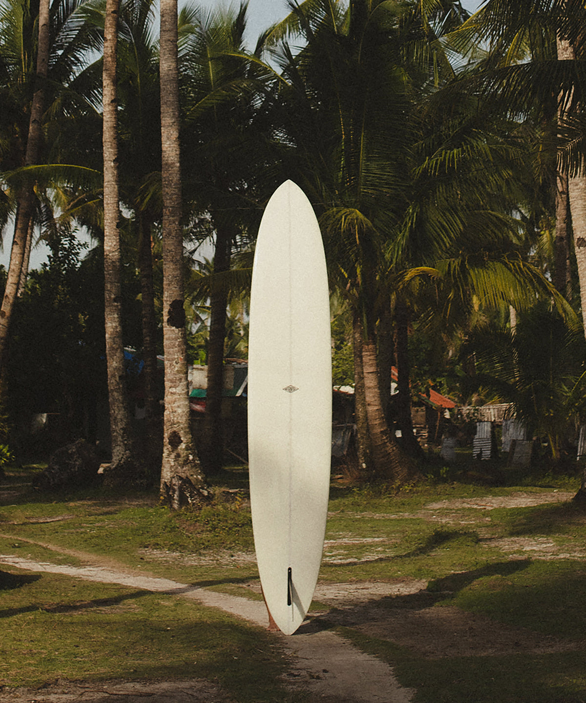 Behind the Board by Paula Ortega