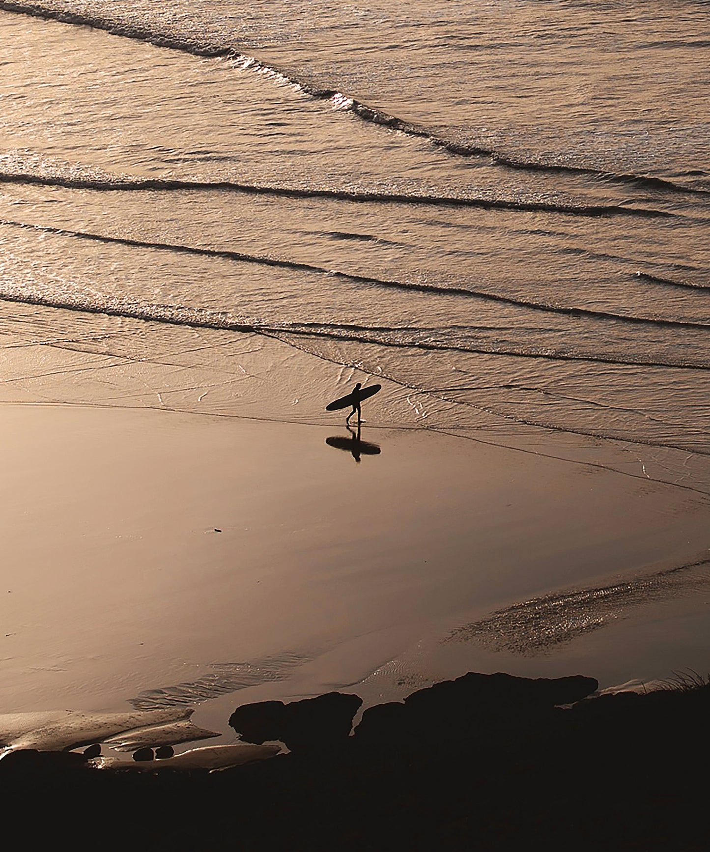 Lone Rider by Paula Ortega