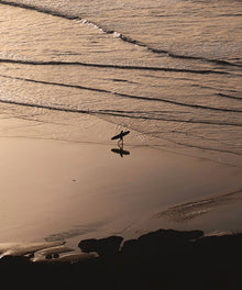 Lone Rider by Paula Ortega