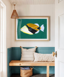 Triggerfish by Hannah Ervick
