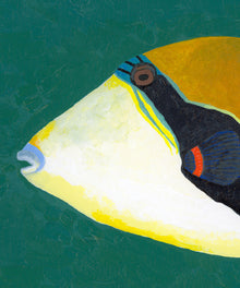 Triggerfish by Hannah Ervick