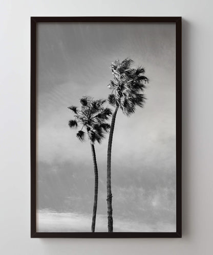 Windy Palms by Alex Noble